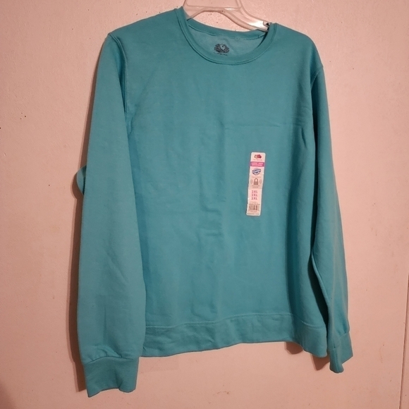 Bundle of 3-Fruit of the Loom Crew Scuba Blue Sweatshirt Womens Size 2XL NWT - Picture 1 of 11